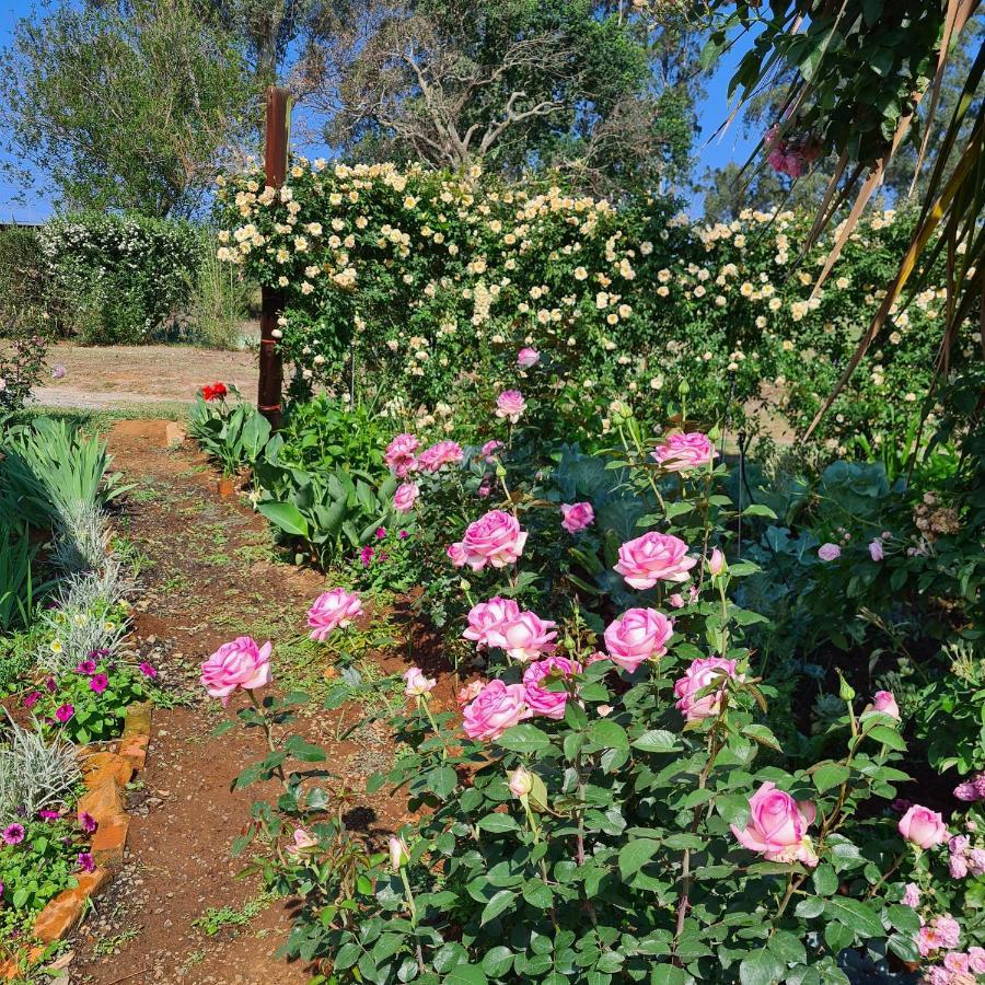 Piccadilly Farm Cottages Lions River ภายนอก รูปภาพ