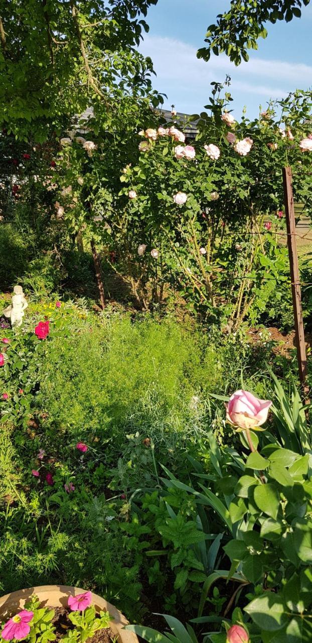Piccadilly Farm Cottages Lions River ภายนอก รูปภาพ