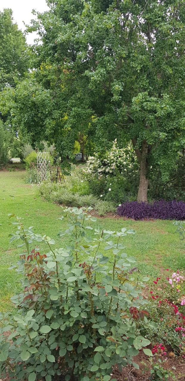 Piccadilly Farm Cottages Lions River ภายนอก รูปภาพ